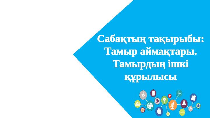 Есеп шығаруСабақтың тақырыбы : Тамыр аймақтары. Тамырдың ішкі құрылысы