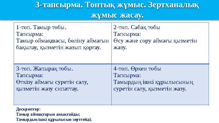 3- тапсырма. Топтық жұмыс. Зертханалық жұмыс жасау. 1-топ. Тамыр тобы. Тапсырма: Тамыр оймақшасы, бөліну аймағын бақылау, қызм