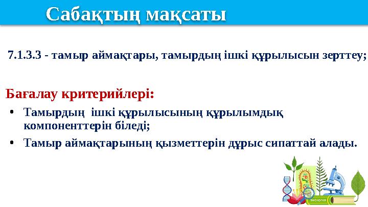 Сабақ тың мақсаты 7.1.3.3 - тамыр аймақтары, тамырдың ішкі құрылысын зерттеу; Бағалау критерийлері: • Тамырдың ішкі құрылысын