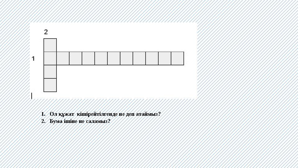 1. Ол құжат кішірейтілгенде не деп атаймыз? 2. Бума ішіне не саламыз?