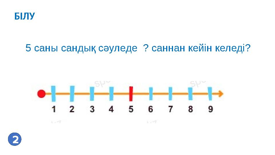 2 5 саны сандық сәуледе ? саннан кейін келеді?БІЛУ