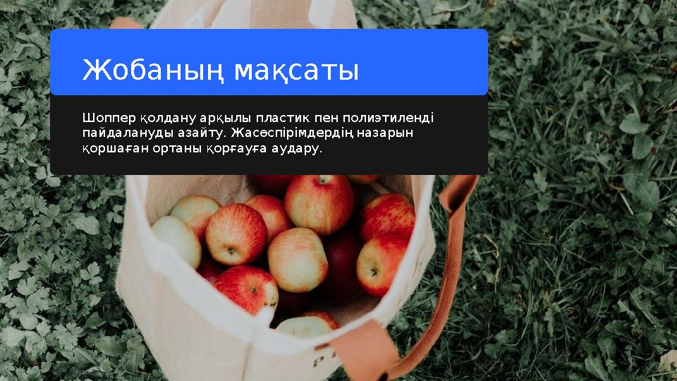 Шоппер қолдану арқылы пластик пен полиэтиленді пайдалануды азайту. Жасөспірімдердің назарын қоршаған ортаны қорғауға аудару.Жо