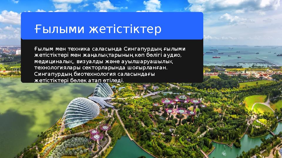 Ғылым мен техника саласында Сингапурдың ғылыми жетістіктері мен жаңалықтарының көп бөлігі аудио, медициналық, визуалды және ау