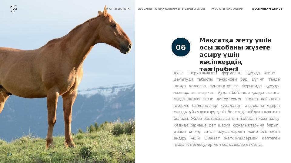 02 Ауыл шаруашылығы фермасын құруда және дамытуда табысты тәжірибем бар. Бүгінгі таңда шаруа қожалық аумағында ө