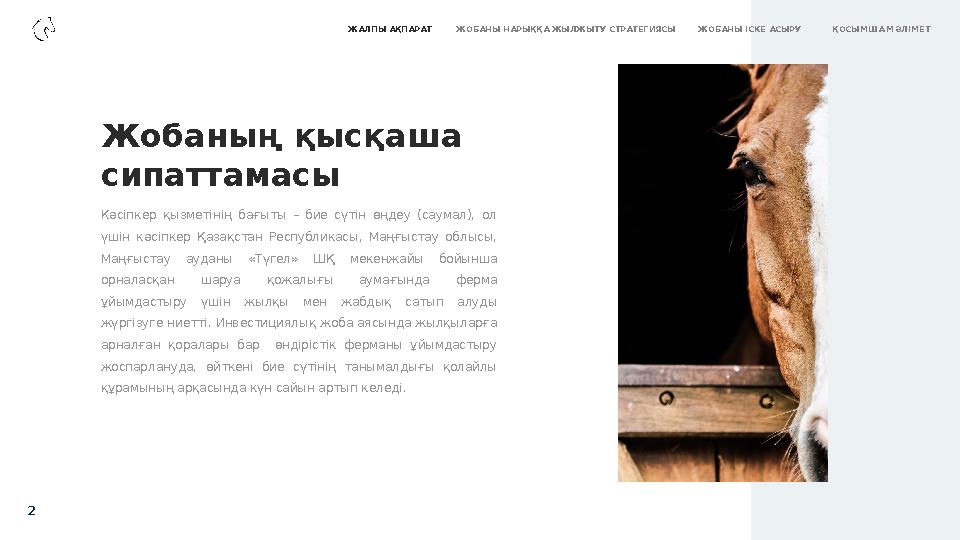 Кәсіпкер қызметінің бағыты – бие сүтін өңдеу (саумал), ол үшін кәсіпкер Қазақстан Республикасы, Маңғыстау облысы,