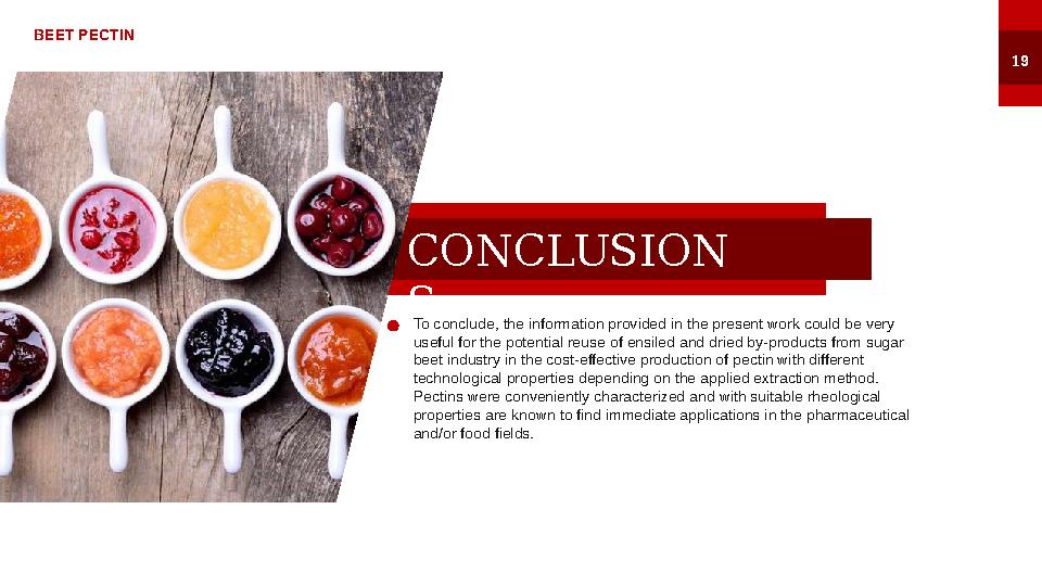 CONCLUSION SBEET PECTIN 19 To conclude, the information provided in the present work could be very useful for the potential reu