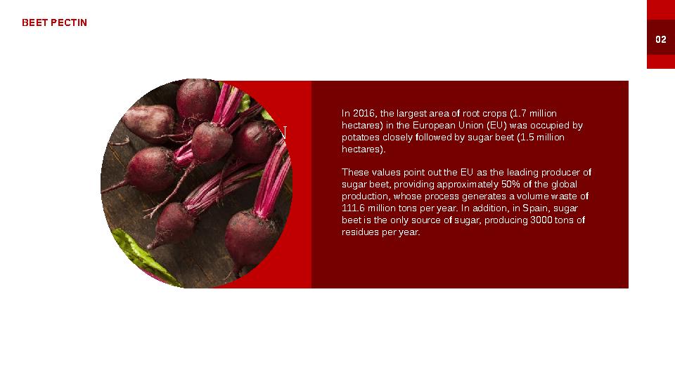 In 2016, the largest area of root crops (1.7 million hectares) in the European Union (EU) was occupied by potatoes closely fol