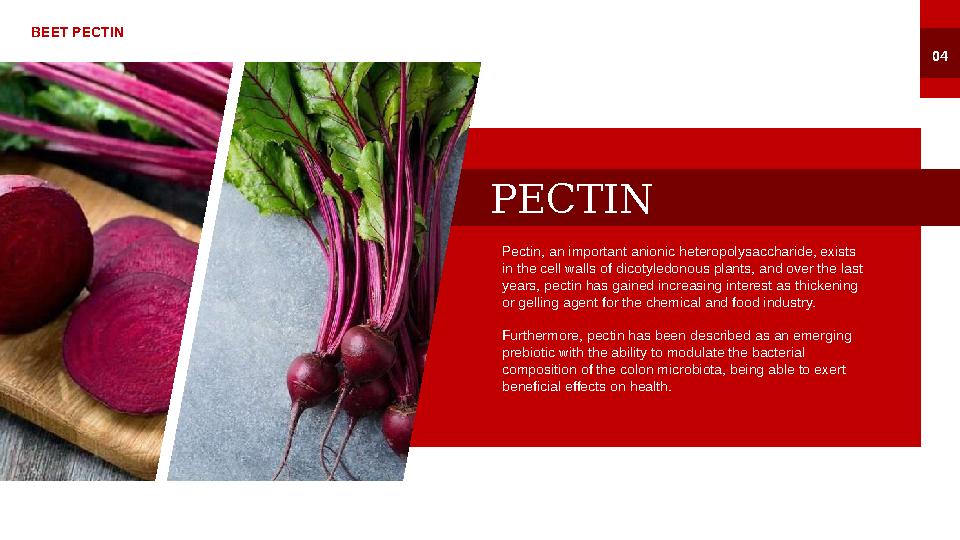 BEET PECTIN 0 4 PECTIN Pectin, an important anionic heteropolysaccharide, exists in the cell walls of dicotyledonous plants, an