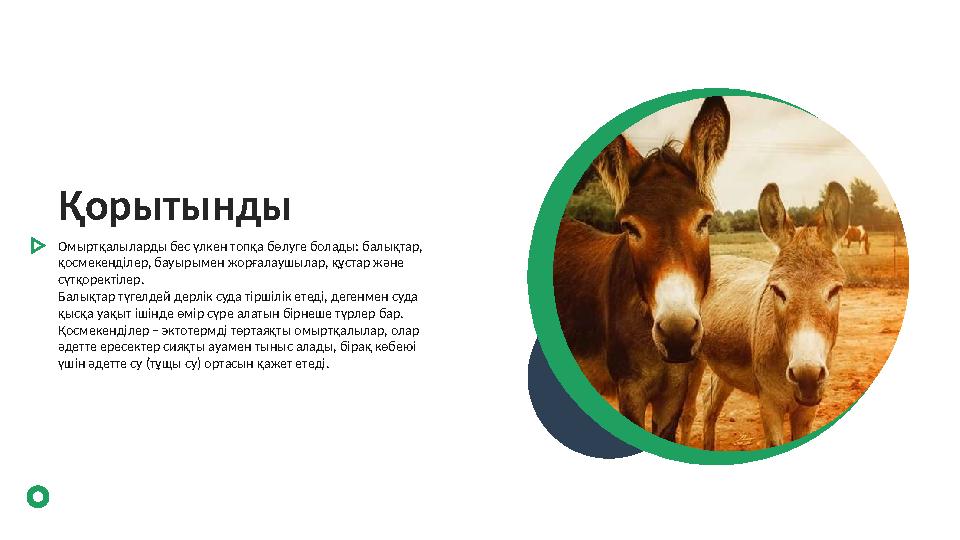 Қорытынды Омыртқалыларды бес үлкен топқа бөлуге болады: балықтар, қосмекенділер, бауырымен жорғалаушылар, құстар және сүтқорек