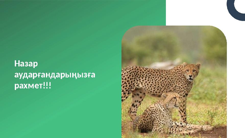 Назар аударғандарыңызға рахмет!!!