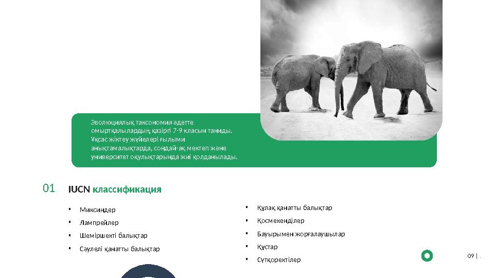 IUCN классификация • Миксиндер • Лампрейлер • Шеміршекті балықтар • Сәулелі қанатты балықтар 01 09 | .Эволюциялық таксон