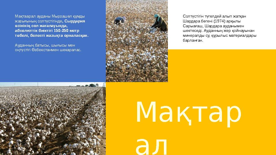 Мақтар алМақтаарал ауданы Мырзашөл құмды жазығының солтүстігінде , Сырдария өзінінің сол жағалауында, абсолюттік биіктігі 150