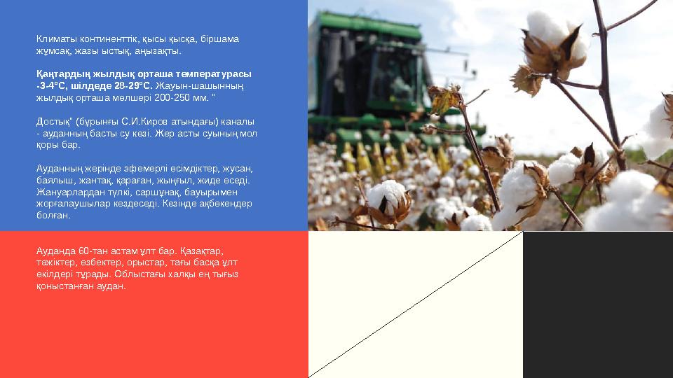 Климаты континенттік, қысы қысқа, біршама жұмсақ, жазы ыстық, аңызақты. Қаңтардың жылдық орташа температурасы -3-4°С, шілдеде