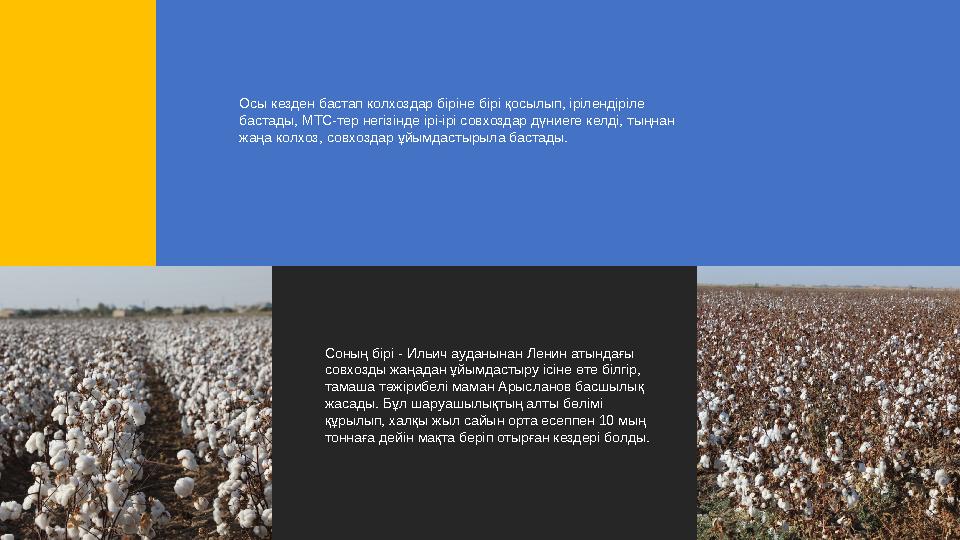 Осы кезден бастап колхоздар біріне бірі қосылып, ірілендіріле бастады, МТС-тер негізінде ірі-ірі совхоздар дүниеге келді, тыңна