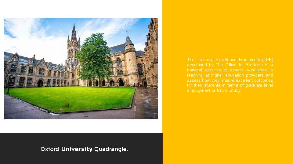 The Teaching Excellence Framework (TEF) developed by The Office for Students is a national exercise to assess e