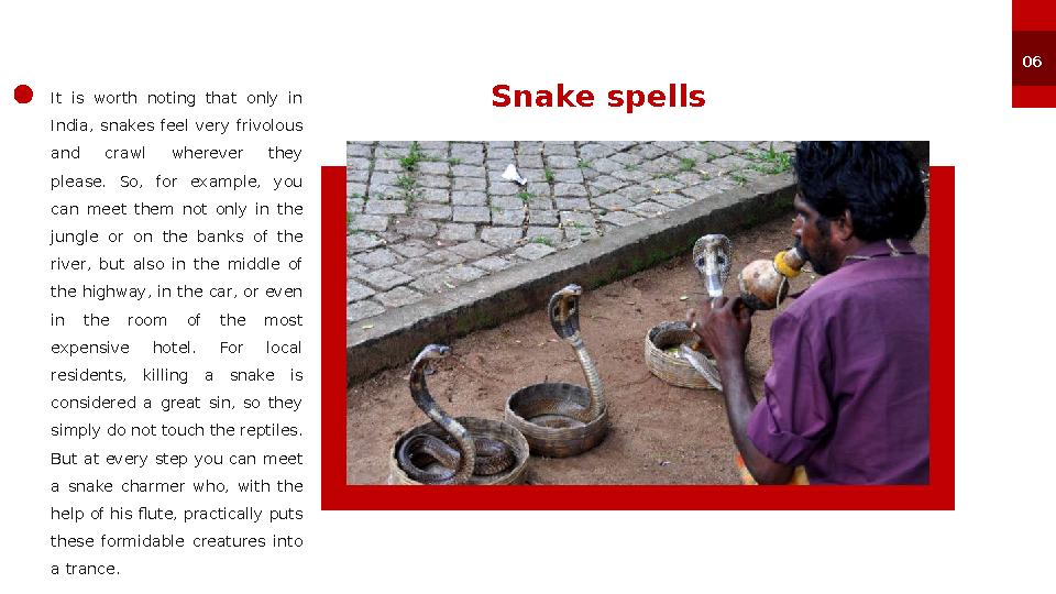 S nake spells 06 It is worth noting that only in India, snakes feel very frivolous and crawl wherever they pleas