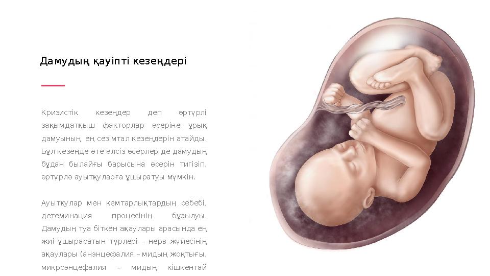 Кризистік кезеңдер деп әртүрлі зақымдатқыш факторлар әсеріне ұрық дамуының ең сезімтал кезеңдерін атайды. Бұл кезеңде