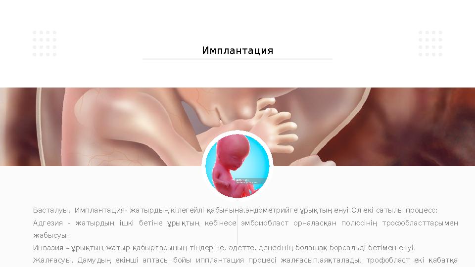 Басталуы. Имплантация- жатырдың кілегейлі қабығына,эндометрийге ұрықтың енуі.Ол екі сатылы процесс: Адгезия - жатырдың ішкі