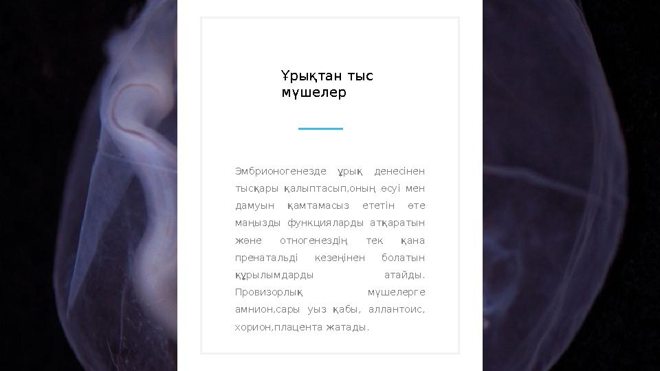 Эмбрионогенезде ұрық денесінен тысқары қалыптасып,оның өсуі мен дамуын қамтамасыз ететін өте маңызды функцияларды а