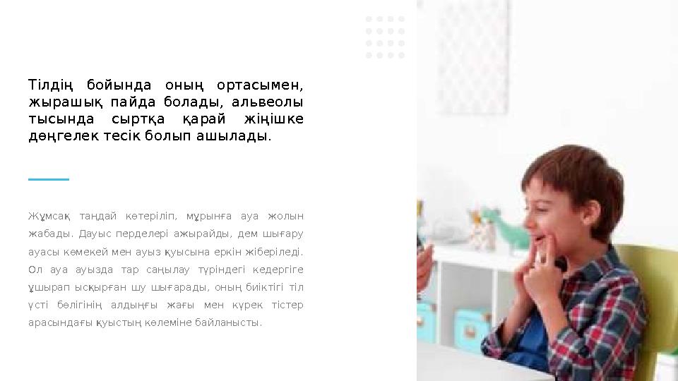 Жұмсақ таңдай көтеріліп, мұрынға ауа жолын жабады. Дауыс перделері ажырайды, дем шығару ауасы көмекей мен ауыз қ