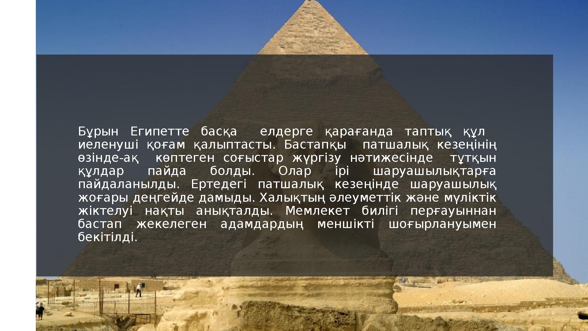 Бұзықтардың отбасы фотосы