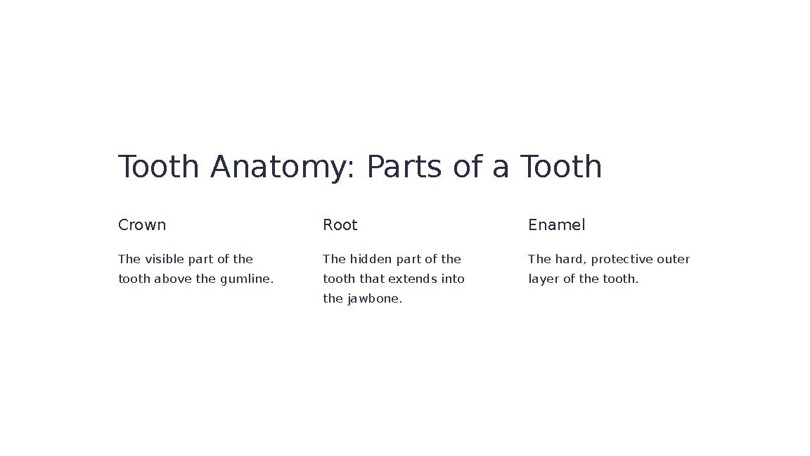 Tooth Anatomy: Parts of a Tooth Crown The visible part of the tooth above the gumline. Root The hidden part of the tooth that