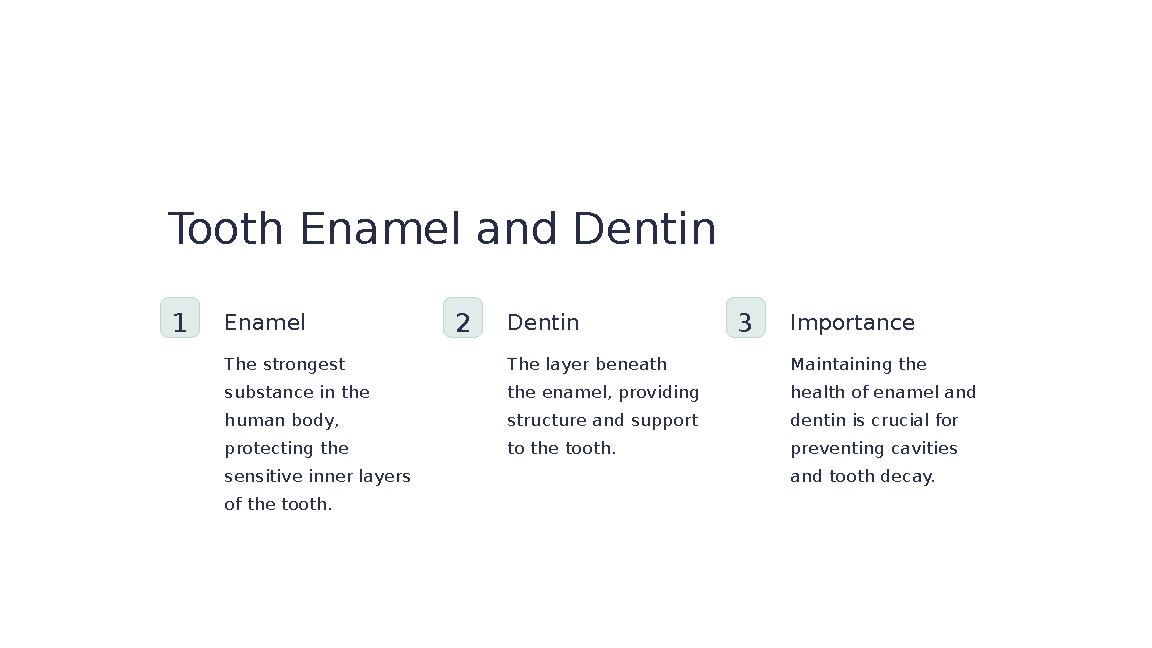 Tooth Enamel and Dentin 1 Enamel The strongest substance in the human body, protecting the sensitive inner layers of the to