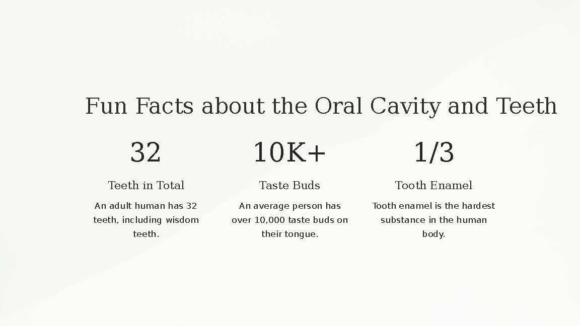 Fun Facts about the Oral Cavity and Teeth 32 Teeth in Total An adult human has 32 teeth, including wisdom teeth. 10K+ Taste Bu