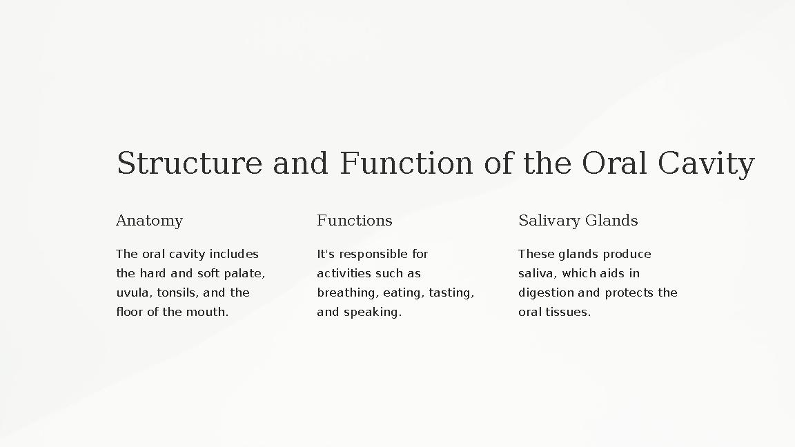 Structure and Function of the Oral Cavity Anatomy The oral cavity includes the hard and soft palate, uvula, tonsils, and the