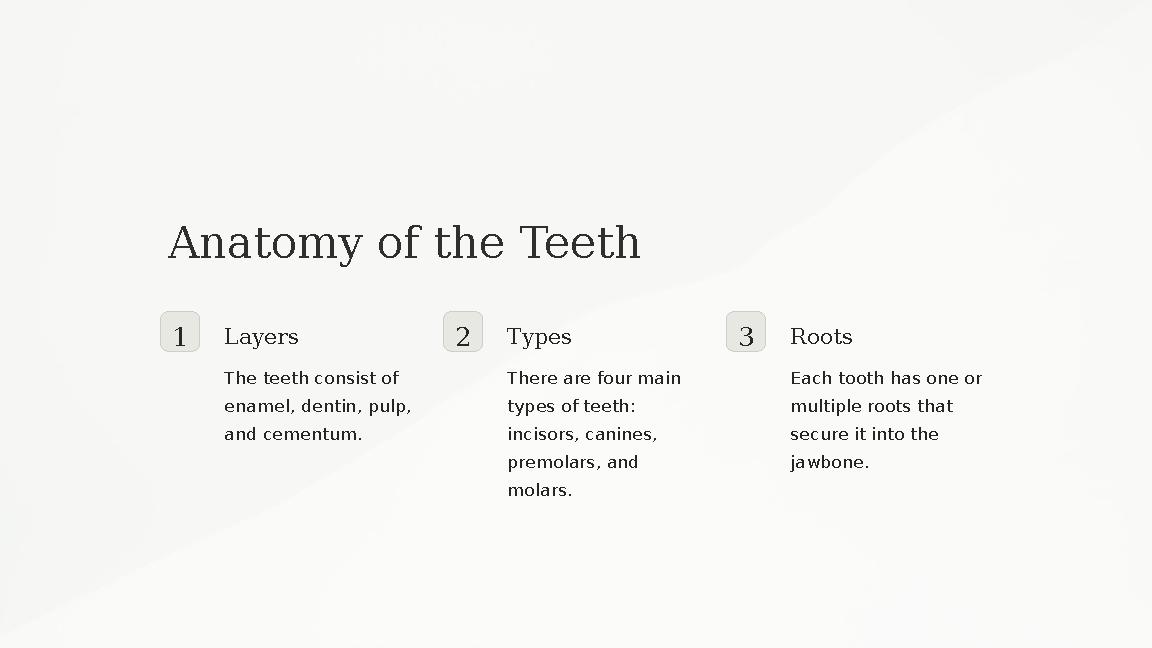Anatomy of the Teeth 1 Layers The teeth consist of enamel, dentin, pulp, and cementum. 2 Types There are four main types of t
