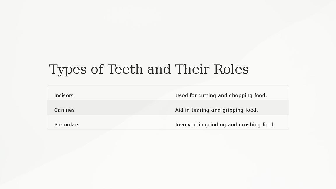 Types of Teeth and Their Roles Incisors Used for cutting and chopping food. Canines Aid in tearing and gripping food. Premolars