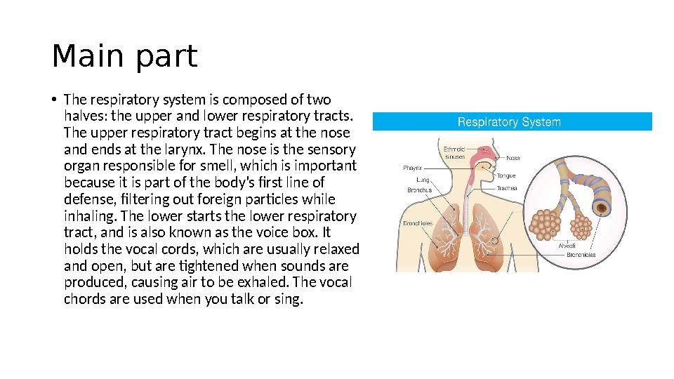Main part • The respiratory system is composed of two halves: the upper and lower respiratory tracts. The upper respiratory tr