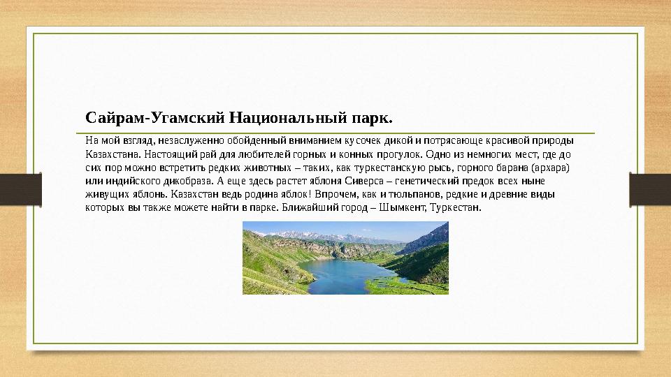 Сайрам-Угамский Национальный парк. На мой взгляд, незаслуженно обойденный вниманием кусочек дикой и потрясающе красивой природы