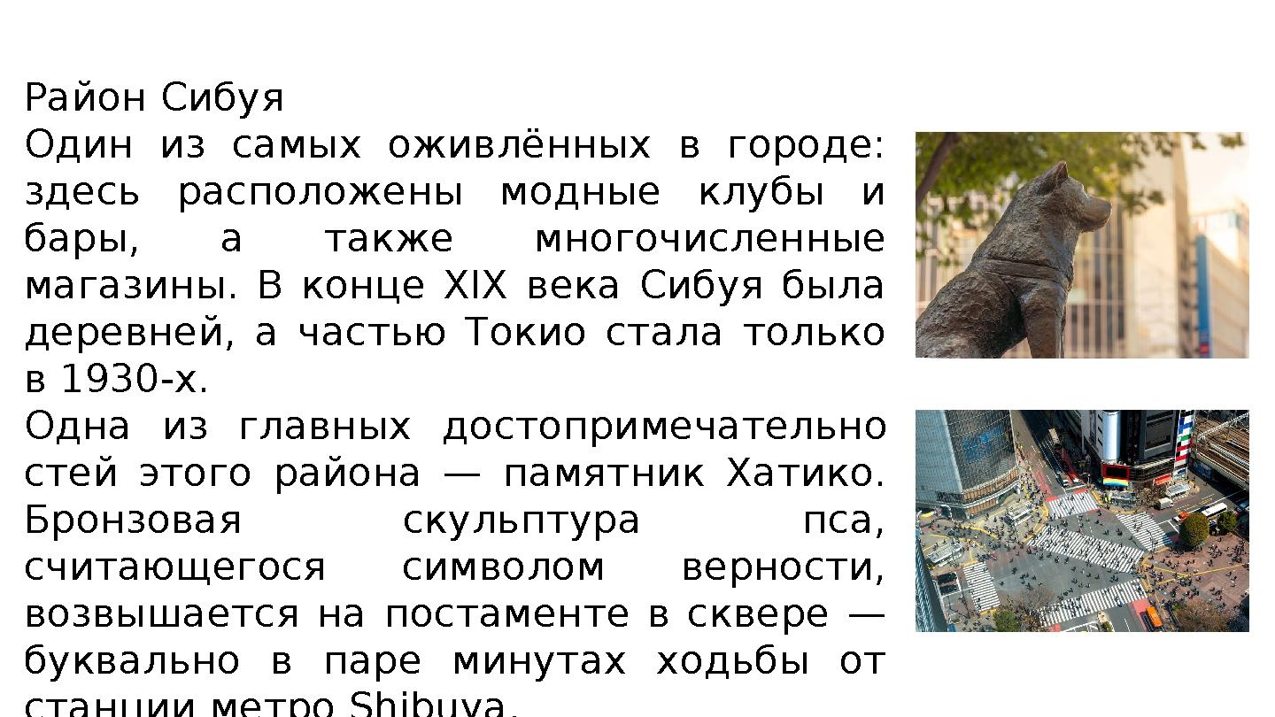 Район Сибуя Один из самых оживлённых в городе: здесь расположены модные клубы и бары, а также многочисленные мага
