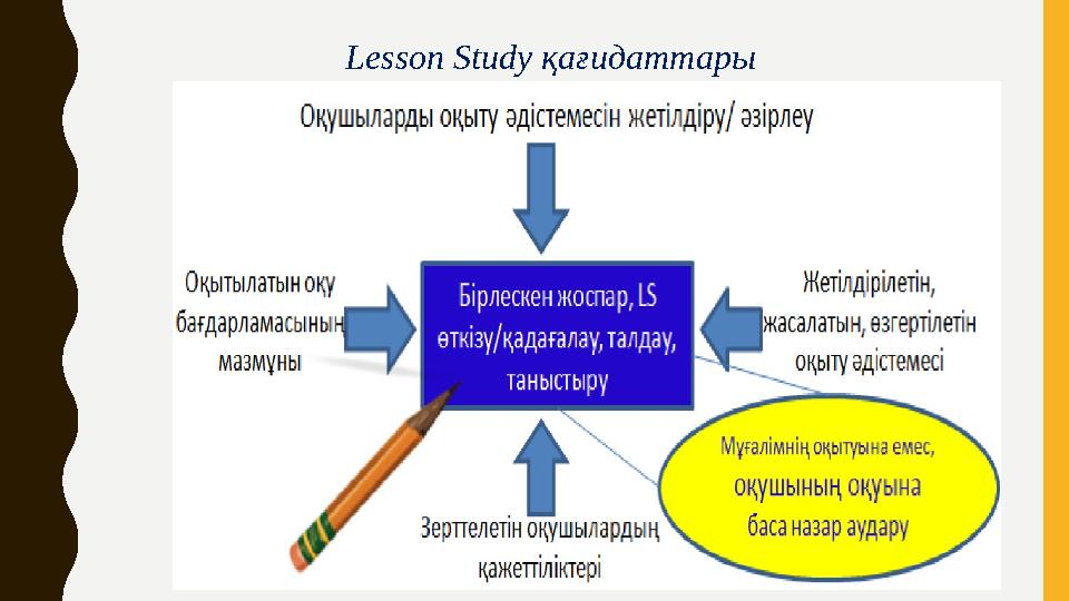 Lesson Study қағидаттары