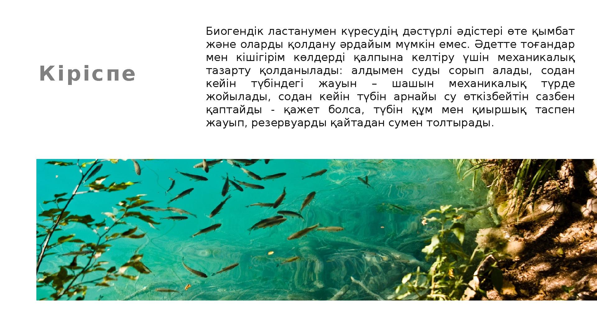 К і р і с п е Биогендік ластанумен күресудің дәстүрлі әдістері өте қымбат және оларды қолдану әрдайым мүмкін емес.