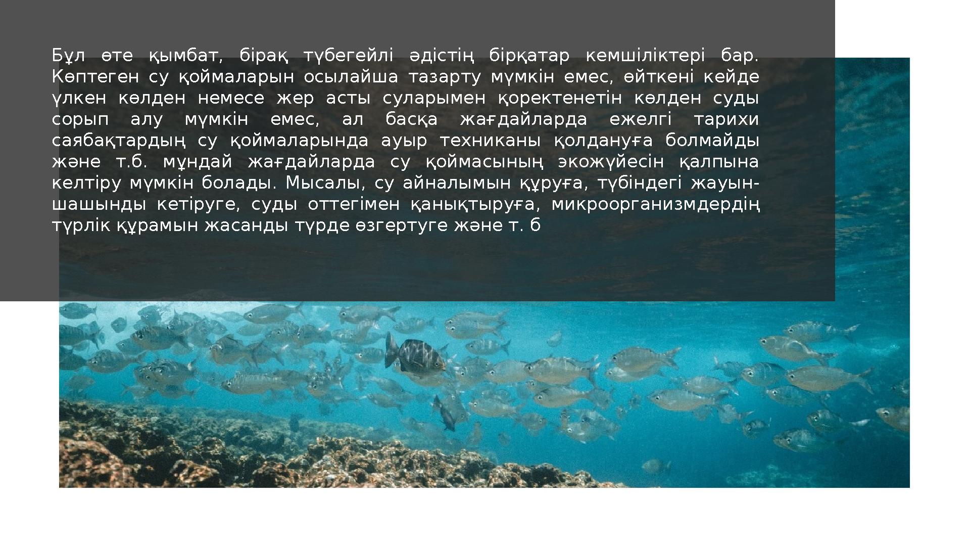 Бұл өте қымбат, бірақ түбегейлі әдістің бірқатар кемшіліктері бар. Көптеген су қоймаларын осылайша тазарту мүмкін