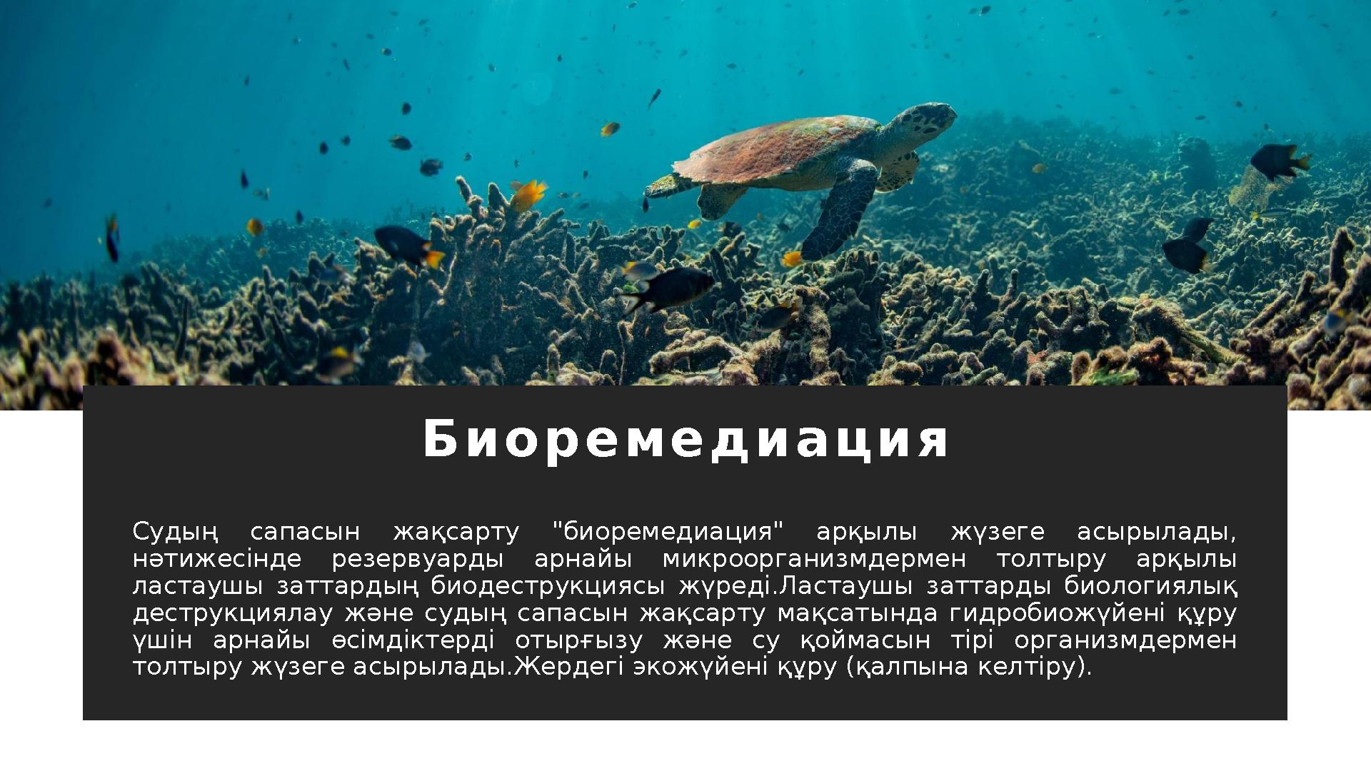 Б и о р е м е д и а ц и я Судың сапасын жақсарту "биоремедиация" арқылы жүзеге асырылады, нәтижесінде резервуарды арнай