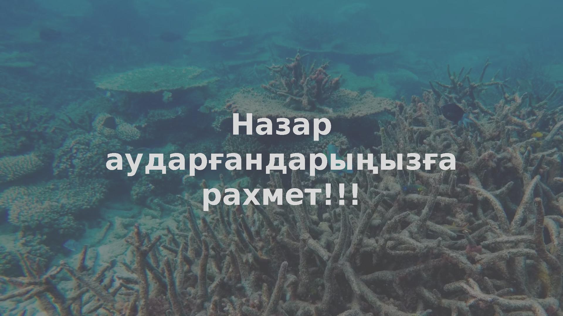 Рахмет открытка рахмет на казахском