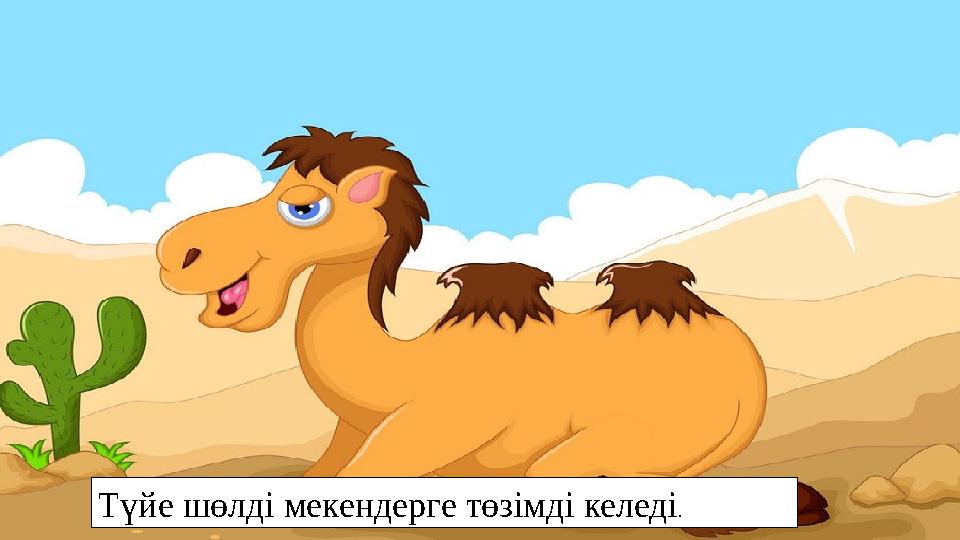 Түйе шөлді мекендерге төзімді келеді .