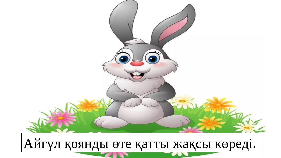 Айгүл қоянды өте қатты жақсы көреді.