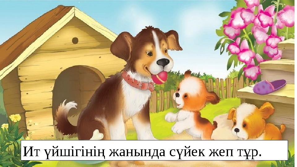 Ит үйшігінің жанында сүйек жеп тұр.