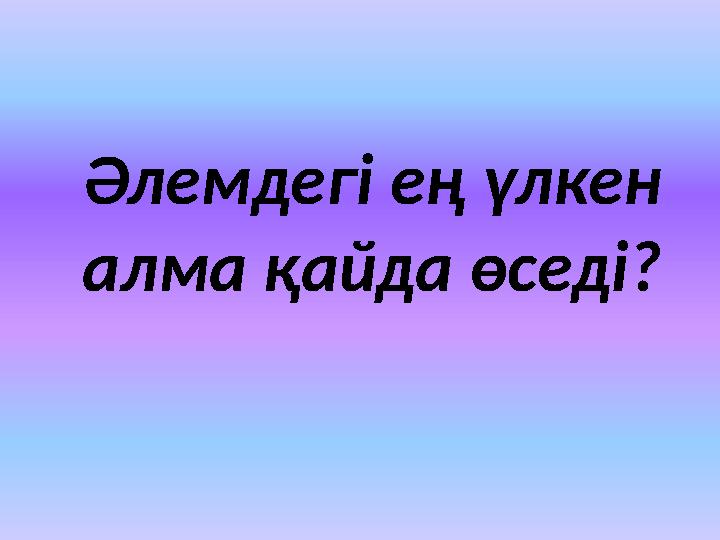 Әлемдегі ең үлкен алма қайда өседі?