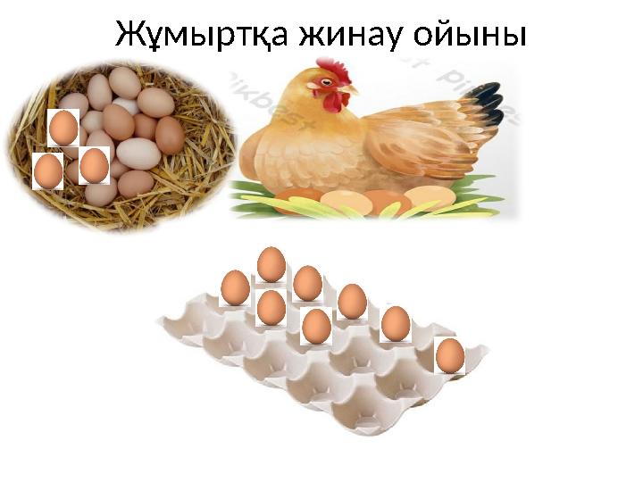 Жұмыртқа жинау ойыны