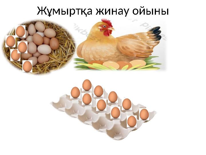 Жұмыртқа жинау ойыны