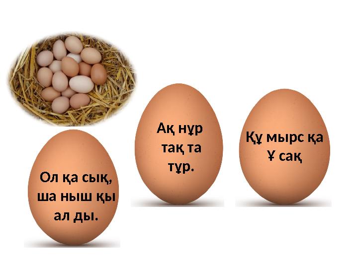 Ақ нұр тақ та тұр. Құ мырс қа Ұ сақ Ол қа сық, ша ныш қы ал ды.