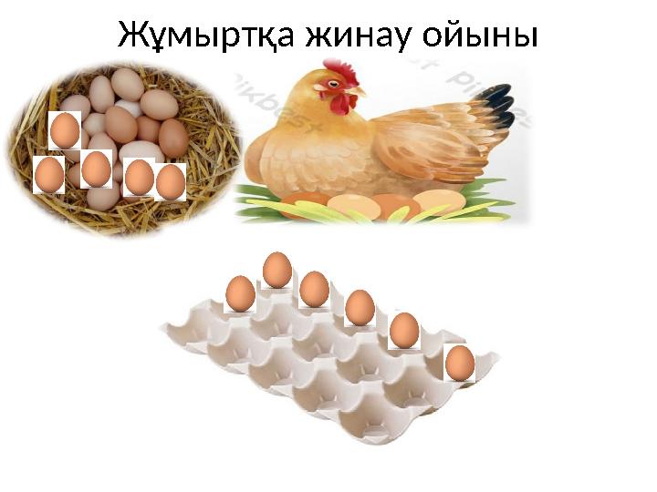 Жұмыртқа жинау ойыны