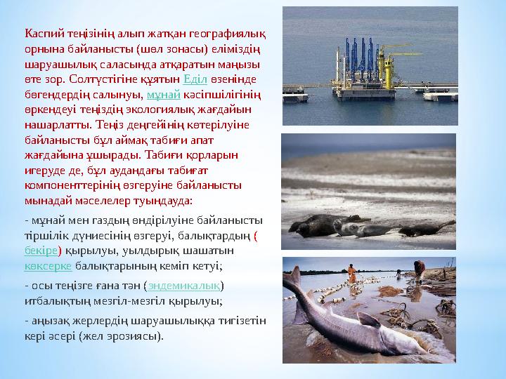 Каспий теңізінің алып жатқан географиялық орнына байланысты (шөл зонасы) еліміздің шаруашылық саласында атқаратын маңызы өте