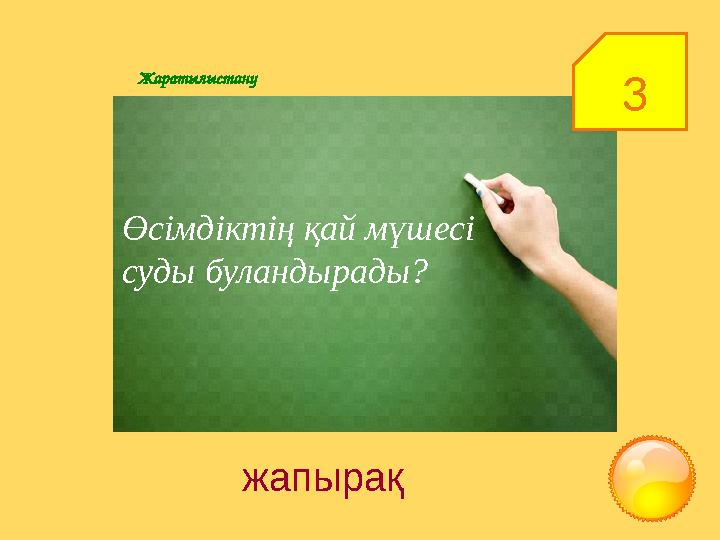 3Жаратылыстану Өсімдіктің қай мүшесі суды буландырады? жапырақ