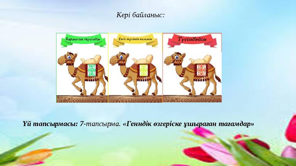 Кері байланыс: Кері байланыс: Үй тапсырмасы: 7 -тапсырма. «Генндік өзгеріске ұшыраған тағамдар»